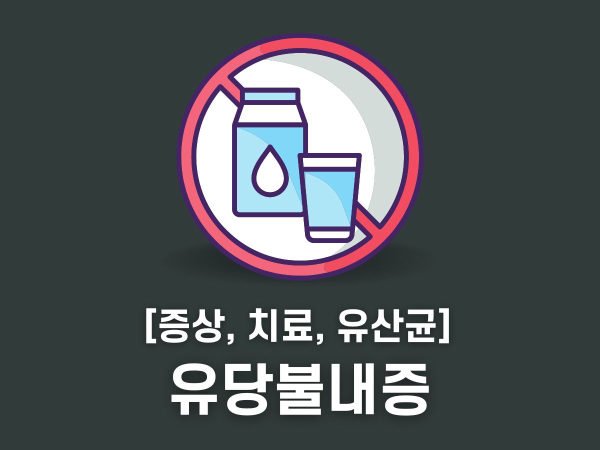 유당불내증 치료