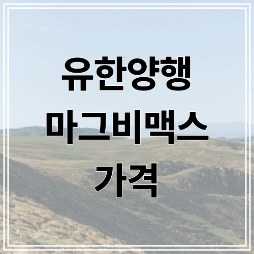 유한양행 마그비맥스 가격