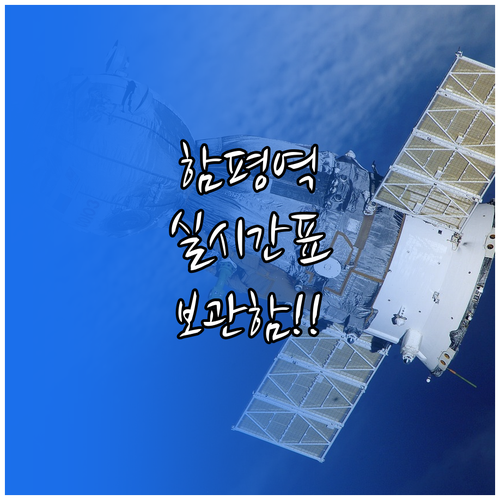 함평역 실시간 시간표 조회와 물품 보..