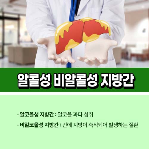 알콜성지방간