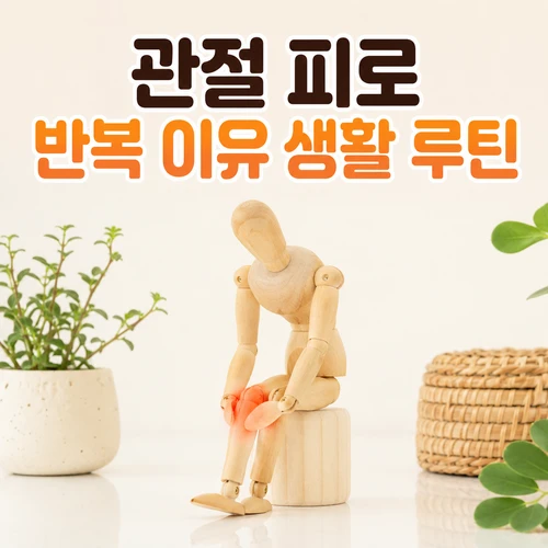 관절 피로 반복 이유 생활 루틴