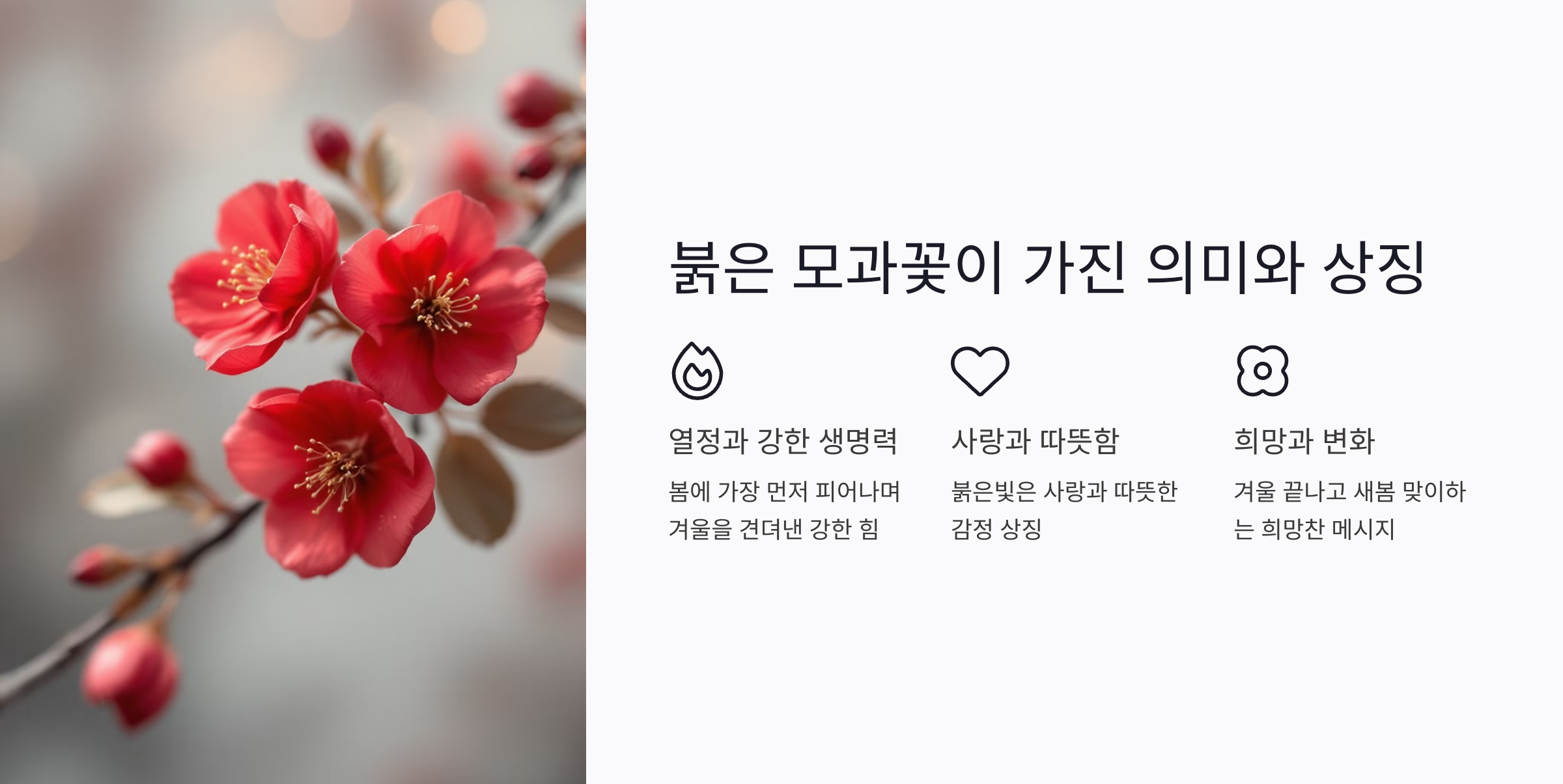 붉은색 모과꽃