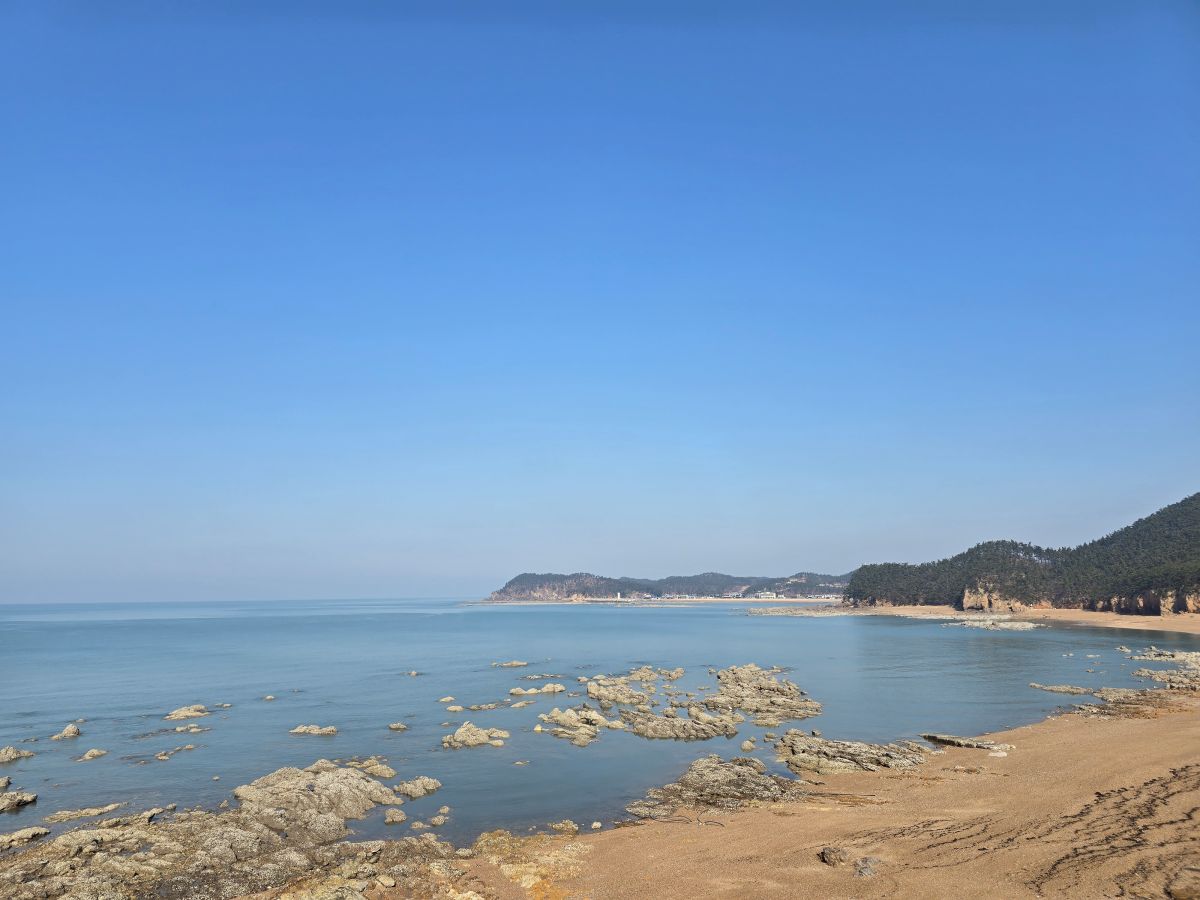 커피인터뷰-파도리-바다-앞-사진