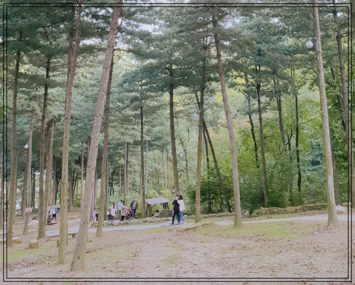 숲속-캠핑장에-여러-사람들이-산책하거나-텐트를-설치하고-있는-모습으로-울창한-소나무와-잔디-흙길이-자연스럽게-어우러져-있다