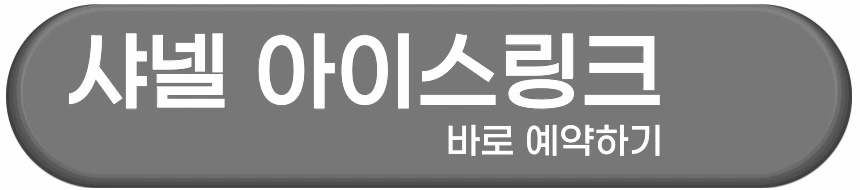 샤넬 아이스링크 예약하기
