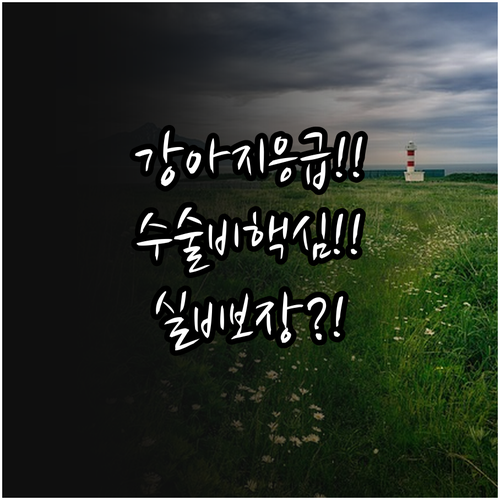 강아지 응급 수술비 보험 적용, 실비..