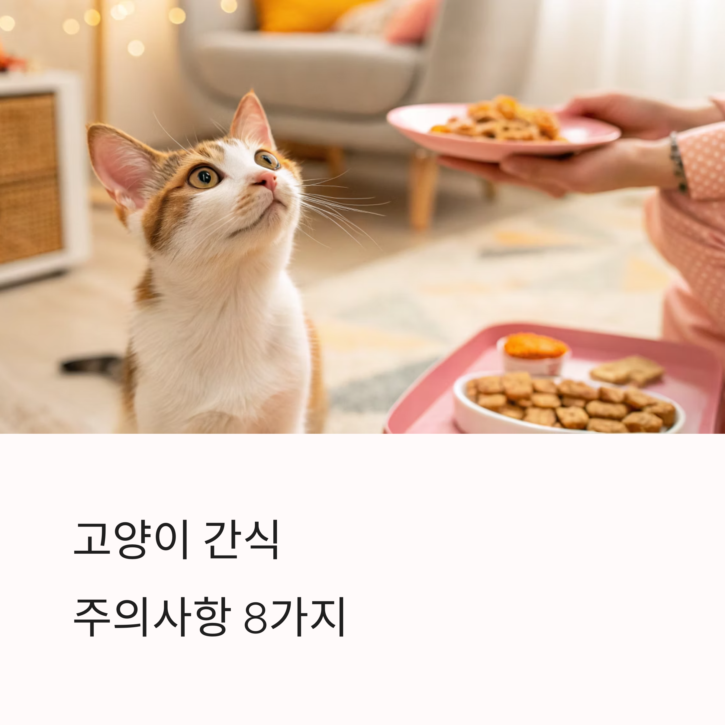 고양이 간식 줄 때 주의사항 8가지