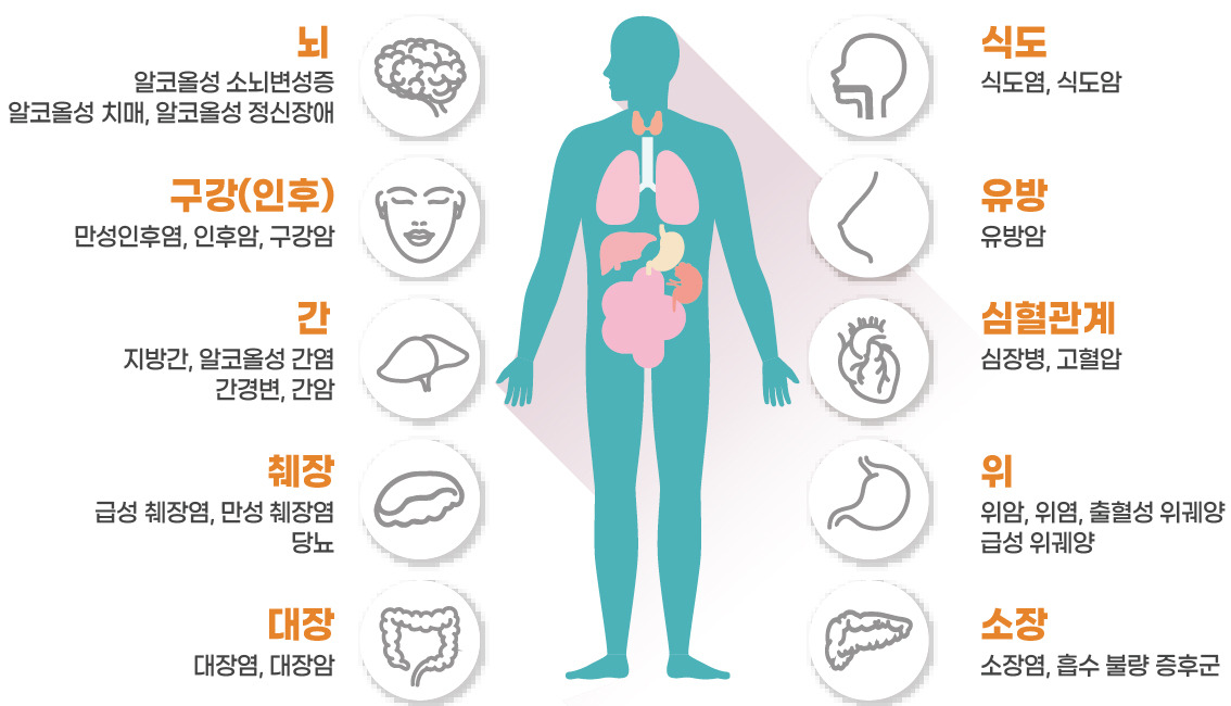 알코올과 암 관련 사진