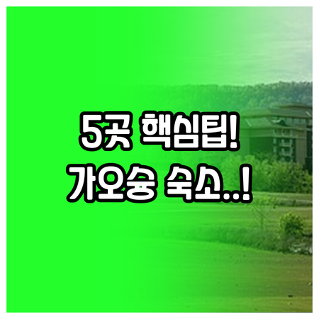 가오슝 가성비 숙소 5곳 미려도역 인..