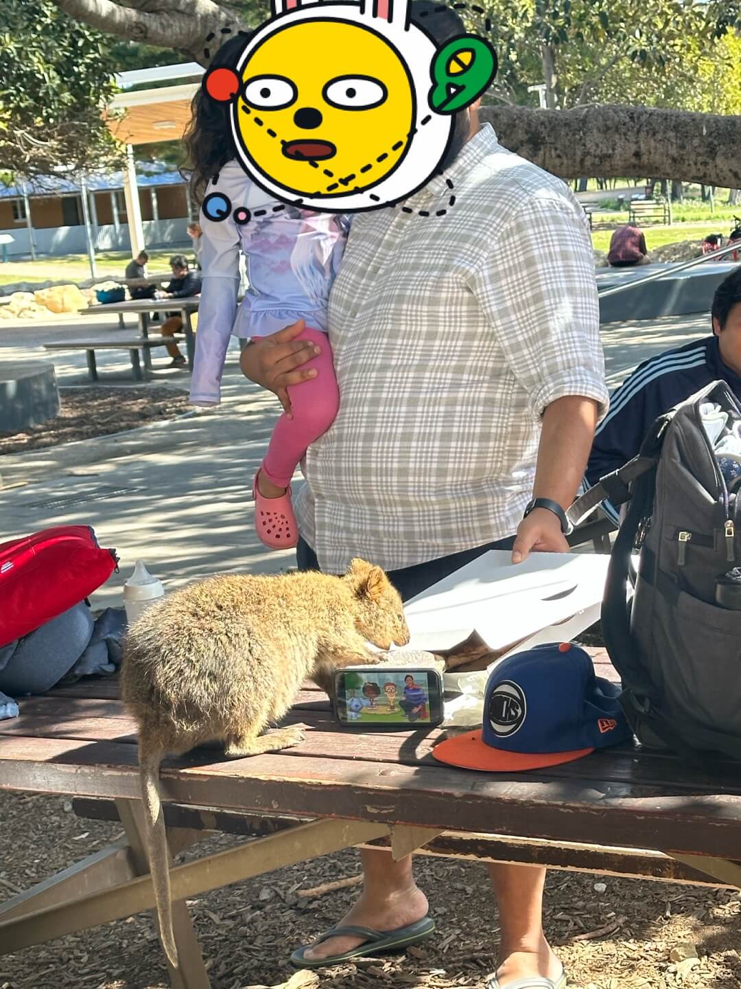 호주 퍼스 여행정보, 쿼카 로트네스트 섬, 칼바리 피나클스 투어