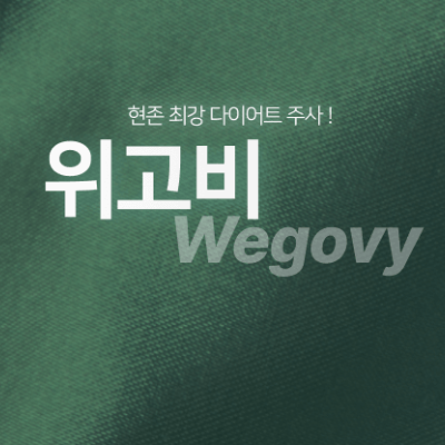 위고비 관련주 대장주 테마주 TOP5 : 비만치료제