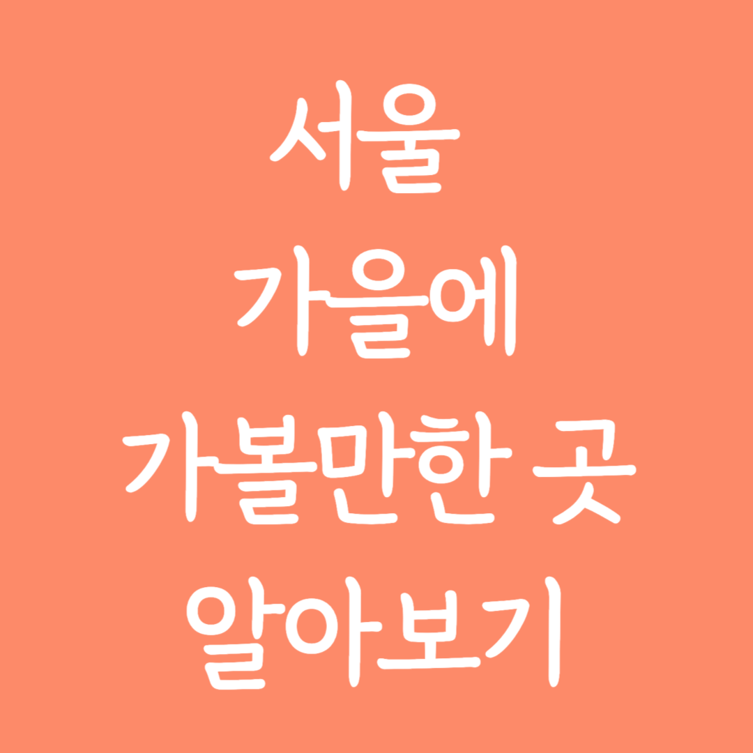 서울 가을에 가볼만한 곳 알아보기