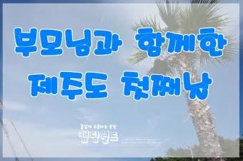 제주 부모님과 여행코스 추천 효도 여행지 완전정리_15