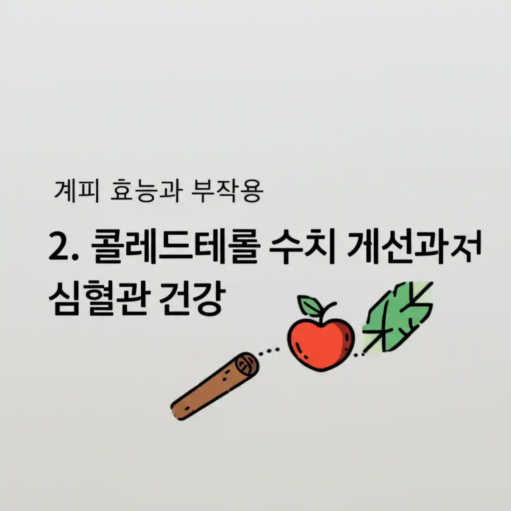 계피의 콜레스테롤 수치 개선과 심혈관 건강 효능 관련 이미지.