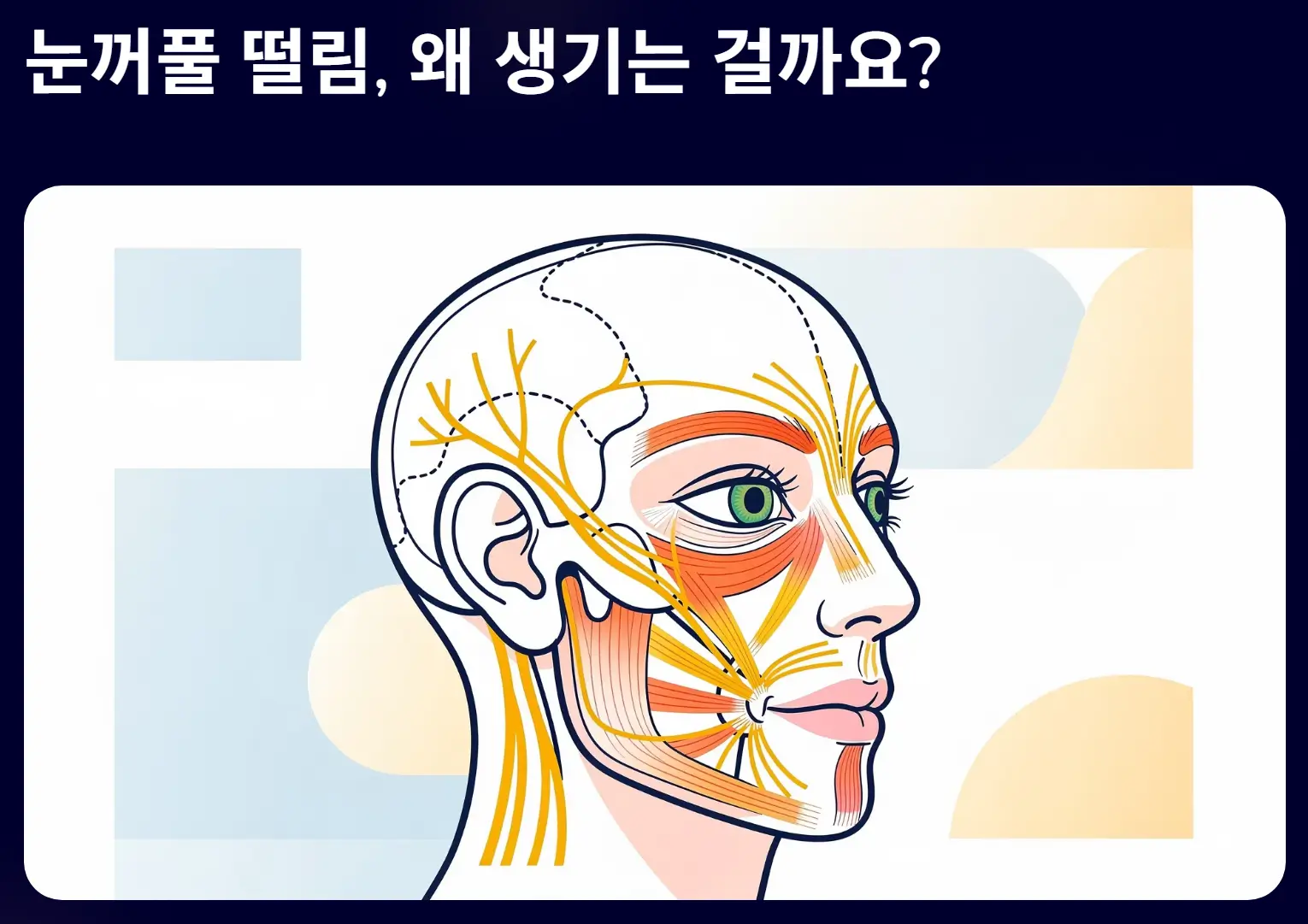 왼쪽 눈꺼풀 떨림현상 원인과 대처방법
