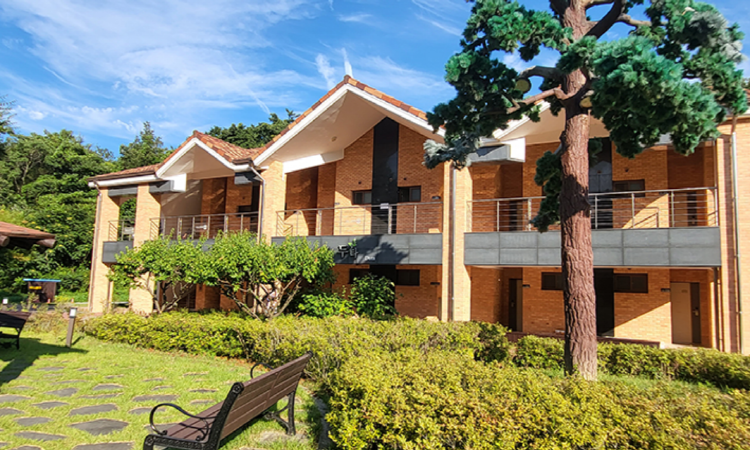 동해 무릉건강숲