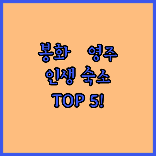 경북 봉화 영주 감성 숙소 베스트 5..