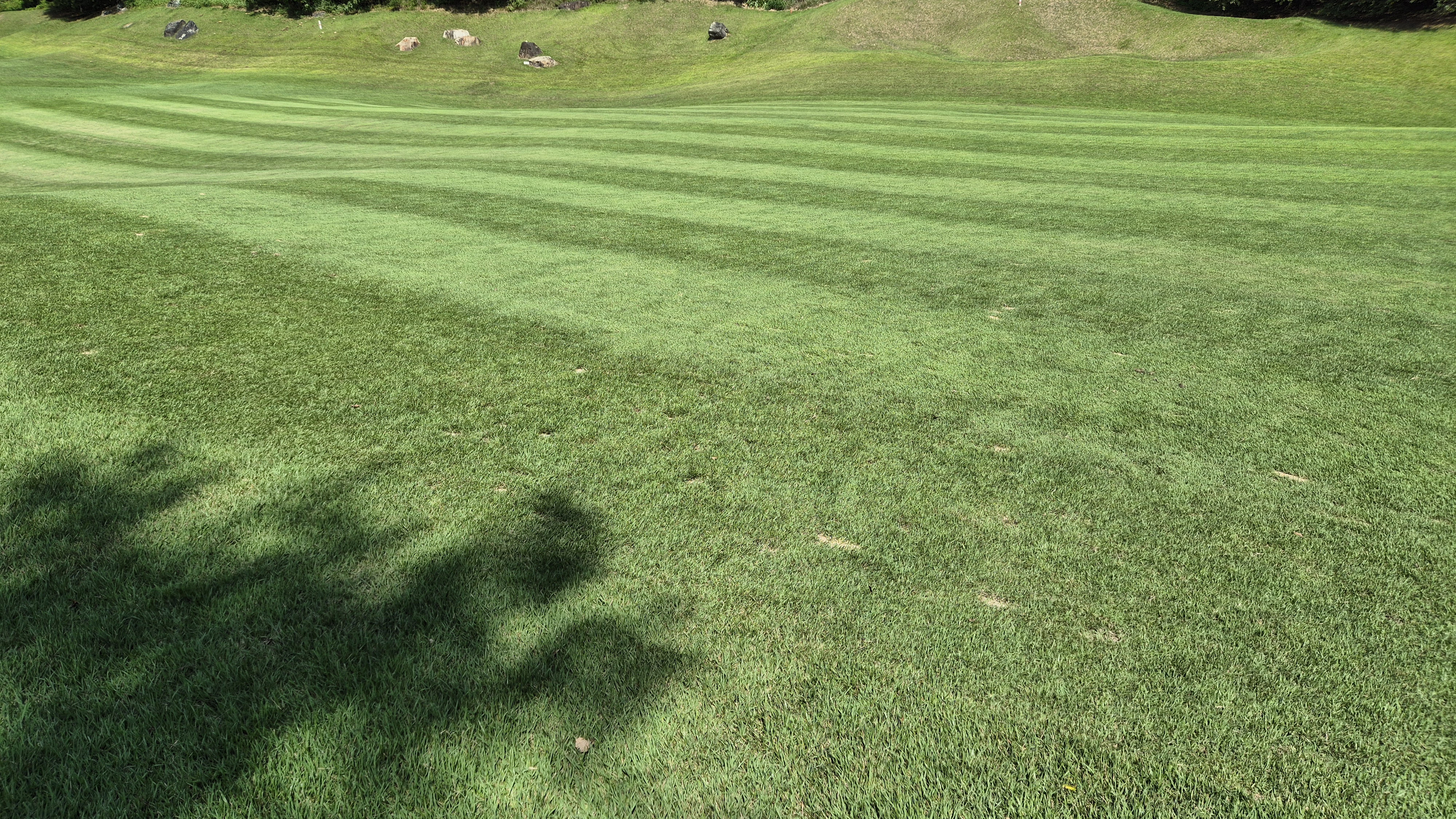 대영힐스cc 청-력 코스 라운드 후기