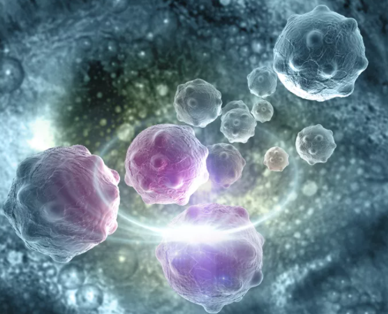 암세포를 확대한 그림