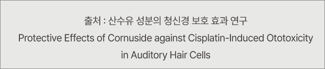 산수유의 청신경보호효과