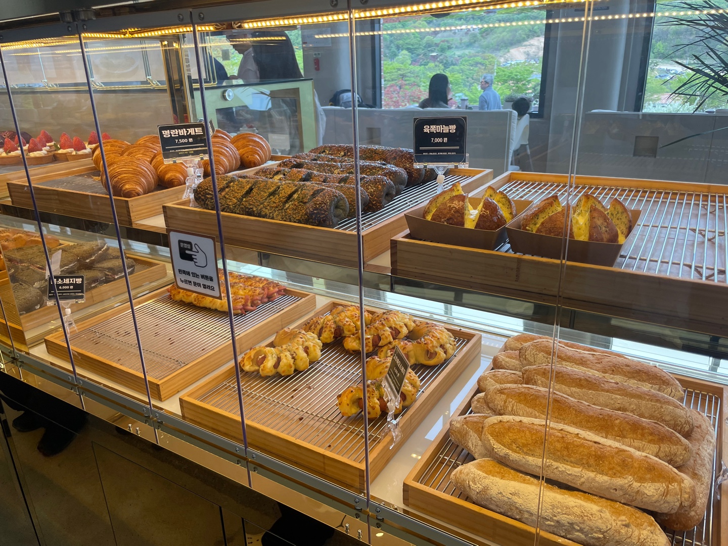 용인 자작나무숲 베툴라 대형 베이커피 카페