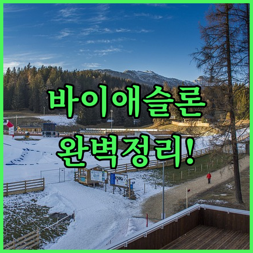 이탈리아 동계올림픽 바이애슬론 주요 ..