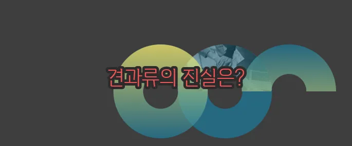 견과류 효능 부작용 섭취방법 알아볼게요