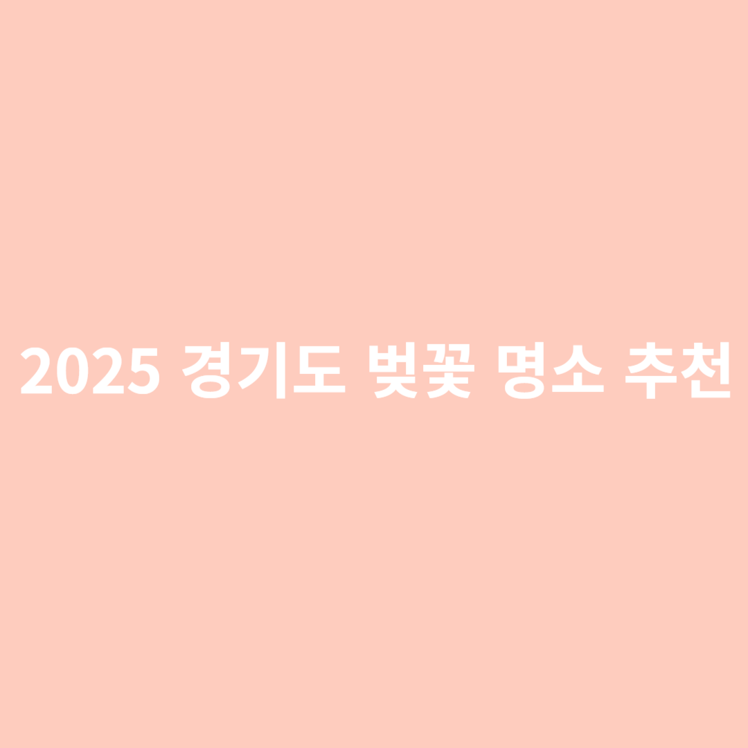 경기도 벚꽃 명소,벚꽃 시즌 정보