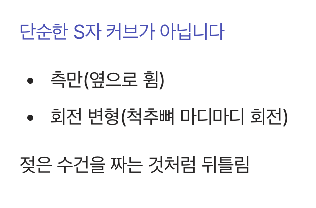 단순한 S자 커브가 아닌, 3차원적 뒤틀림