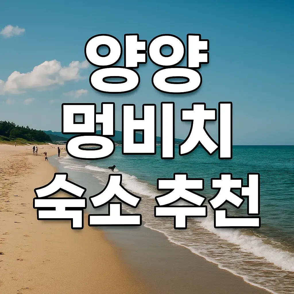 양양 멍비치 숙소 추천 BEST 7