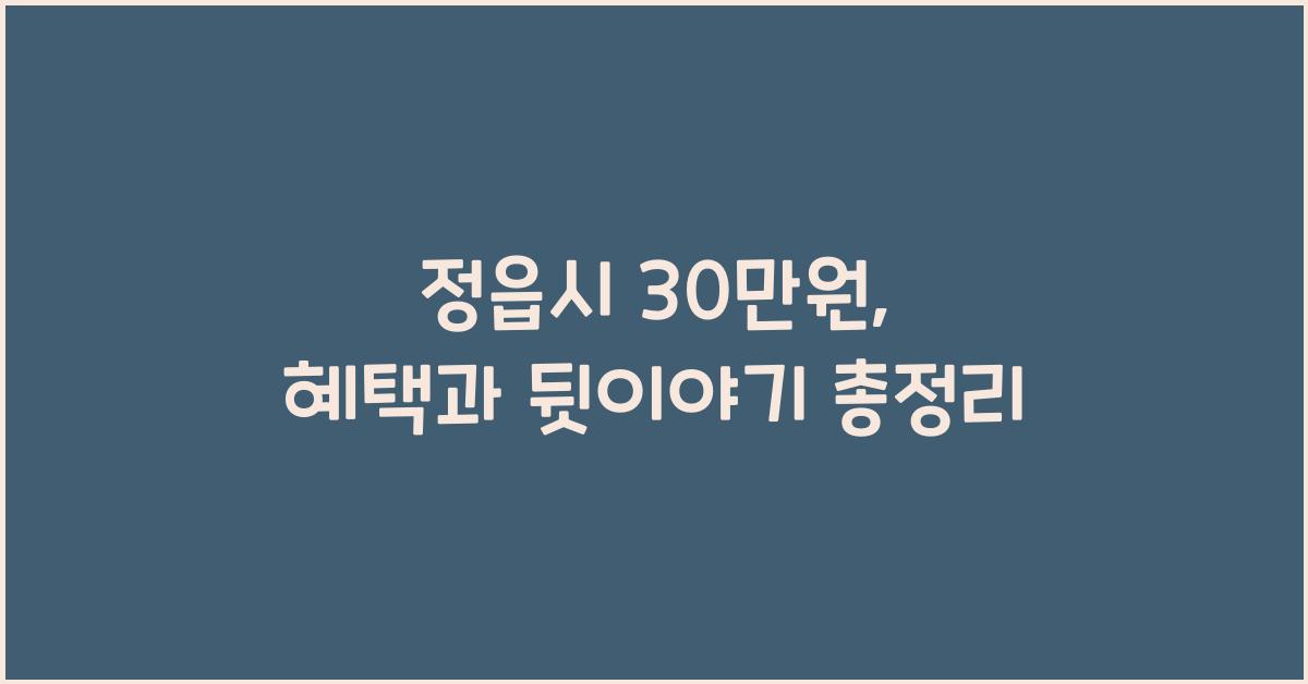 정읍시 30만원