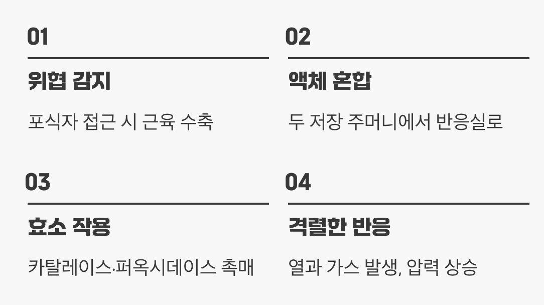 폭발의 순간, 초소형 반응실