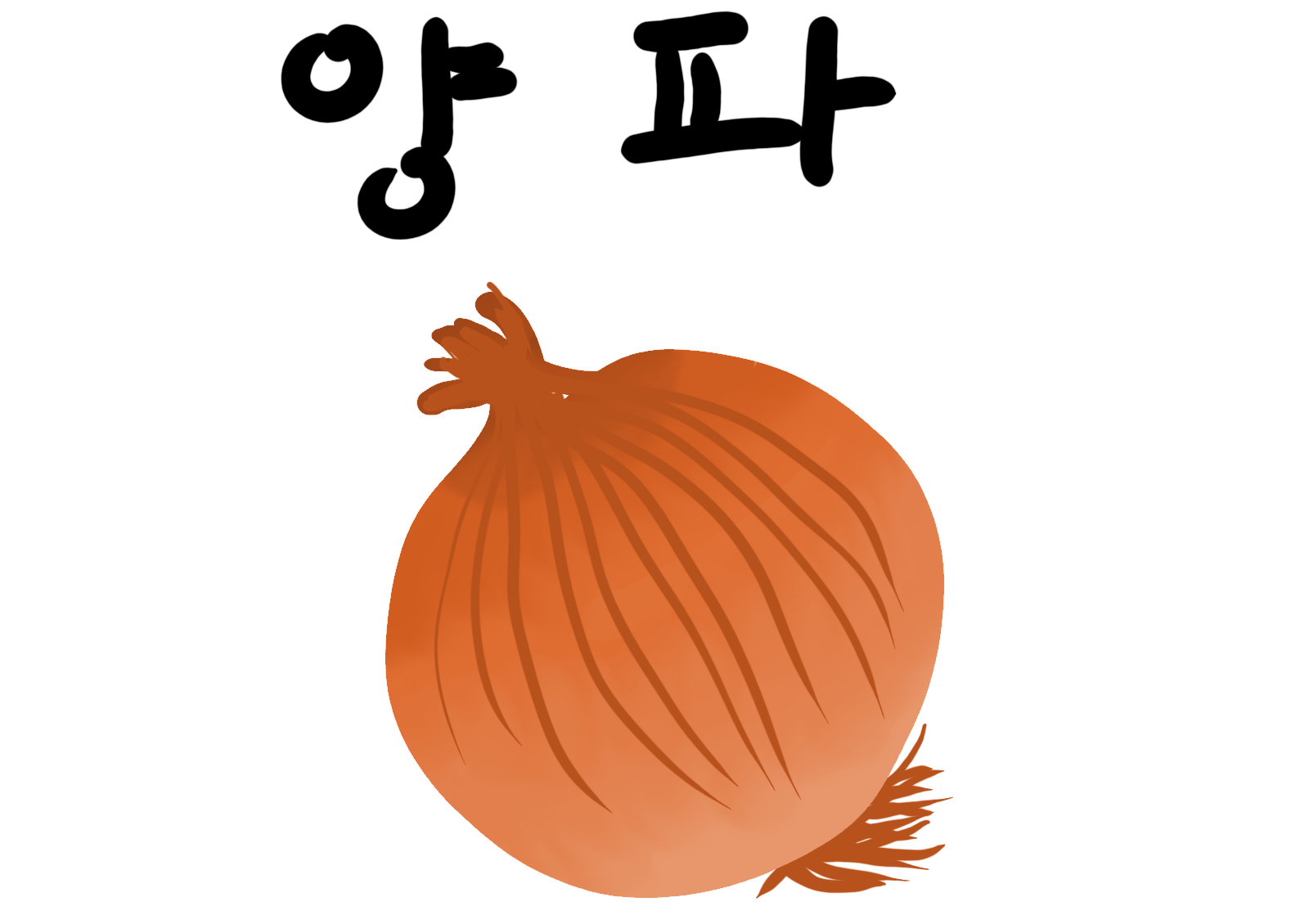 양파 그림