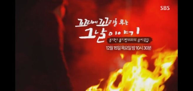 꼬꼬무 봉대산 불다람쥐