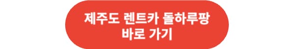 제주 렌트카 추천 best 5 제주도민이 추천해 봅니다