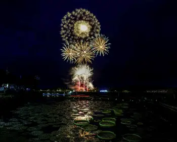 무안 연꽃축제_28