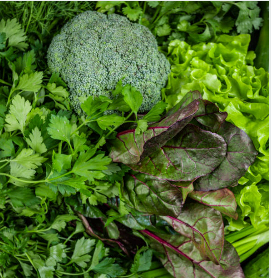 40대 간 건강 지키는 습관과 간 기능 개선 음식 추천