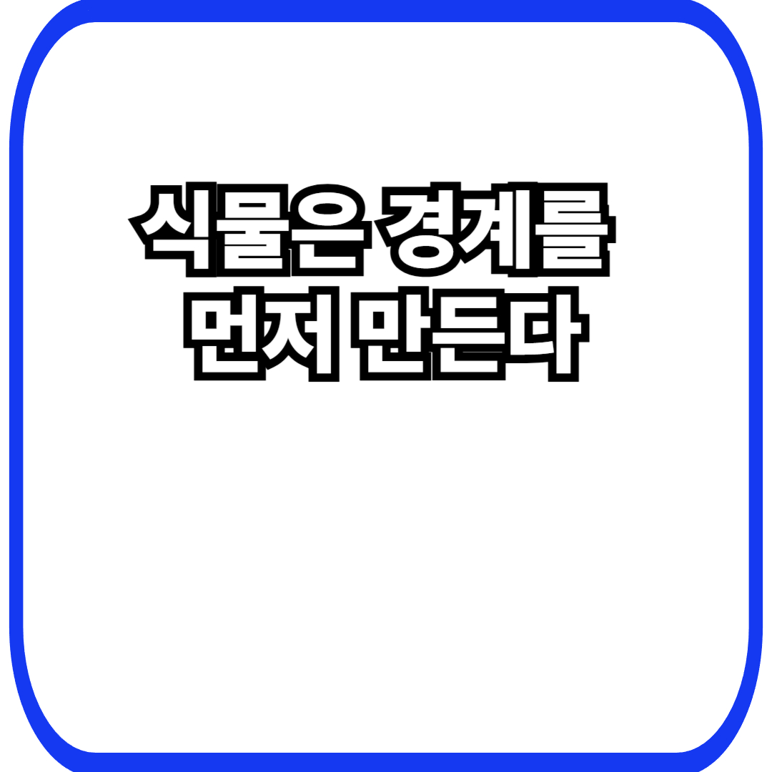 식물 경계 설정에서 시작되는 생존 설계, 넘지 않는 선이 만드는 장기 안정성