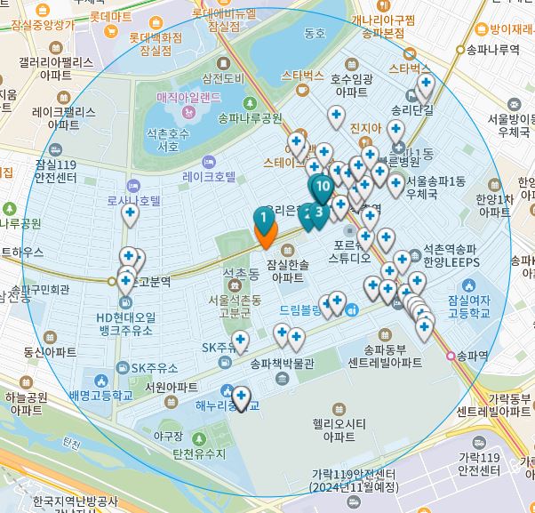 서울시 송파구 석촌동 일요일 진료 휴일 문 여는 병원