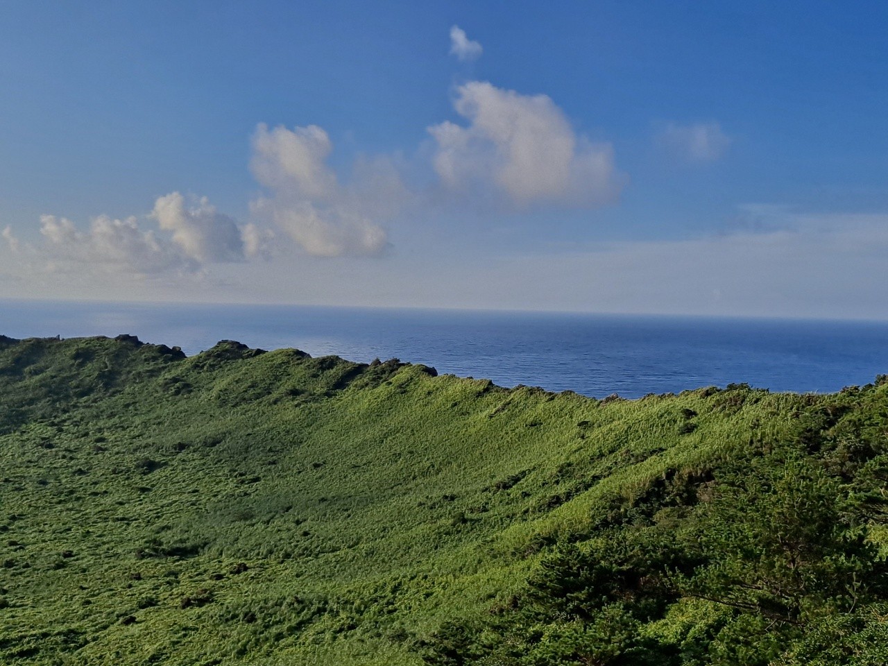 혼자 떠나는 여행