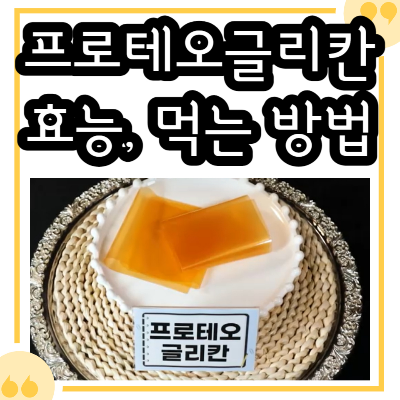 프로페오글리칸