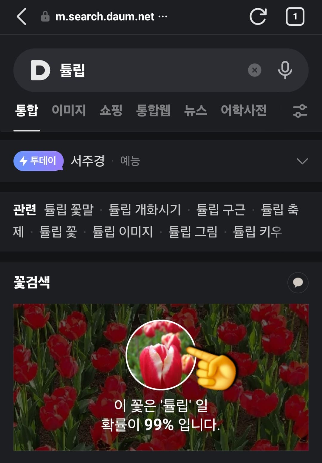 다음(Daum)-꽃검색-방법-안내-이후-이-꽃은-튤립일-확률이-99%입니다.라는-결과가-나타나고&amp;#44;-가운데-보이는-이미지를-클릭하면