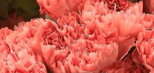 스승의날-감사문구-센스있는문구