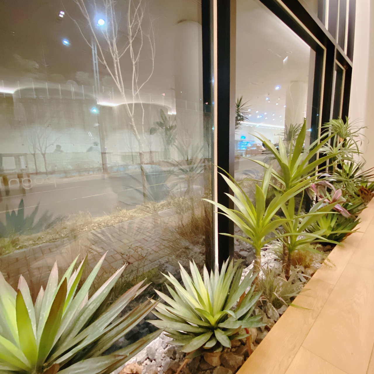 동탄호수공원 포근 베이커리 카페