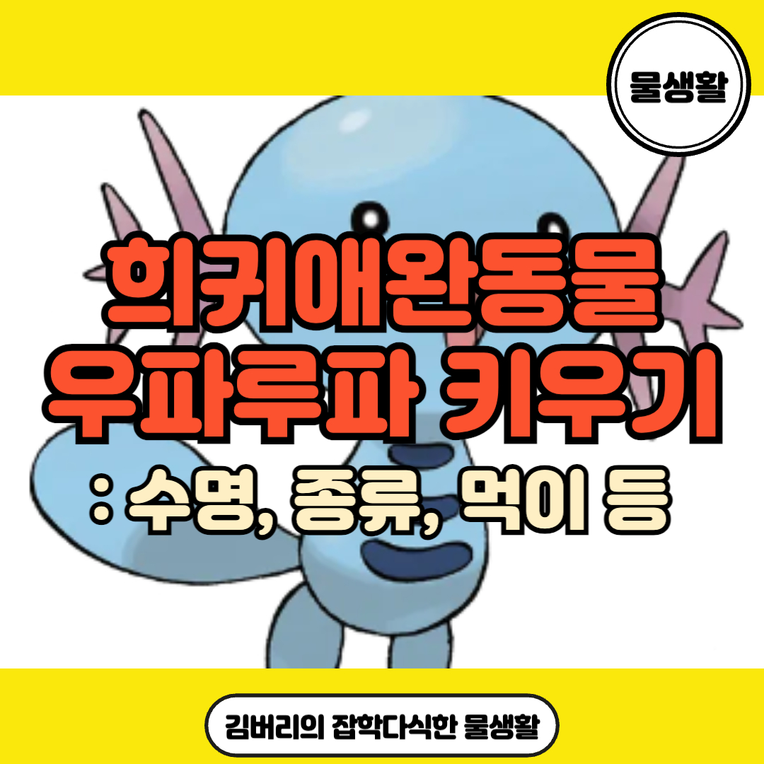 우파루파 키우기