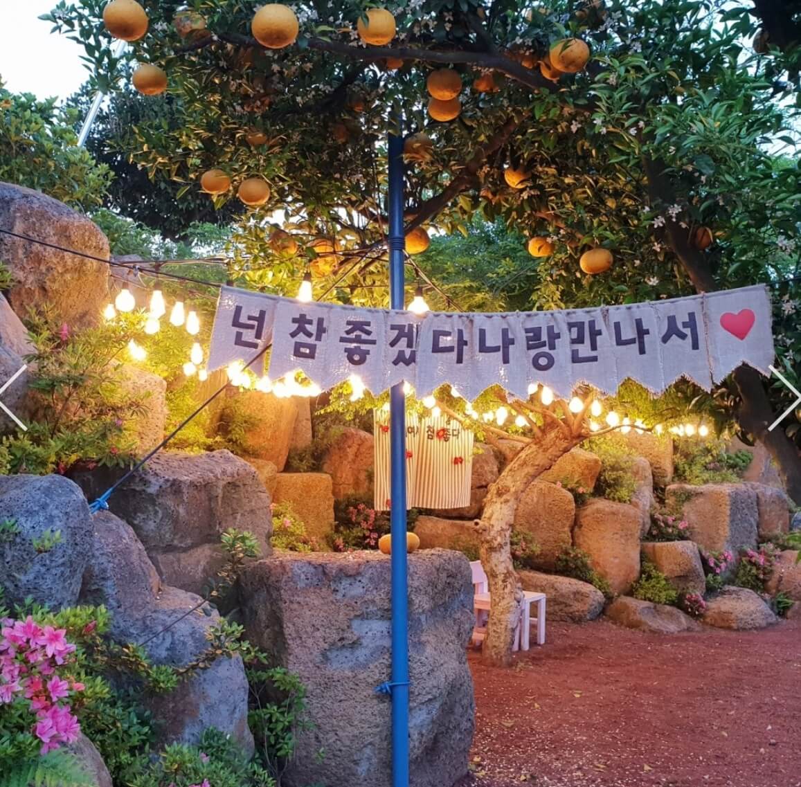 마노르블랑은 2천평이 넘는 정원에 7000여본에 장미와 유럽수국&#44; 동백으로 꾸며진 환상적인 정원입니다