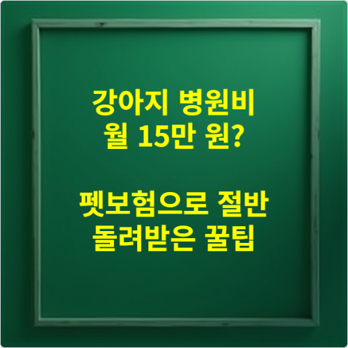 강아지 병원비 월 15만 원 펫보험으로 절반 돌려받은 꿀팁