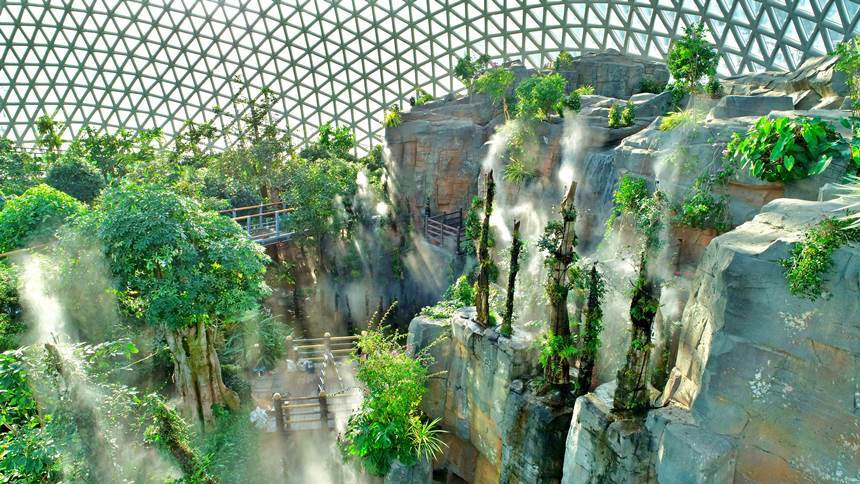 거제 식물원 정글돔