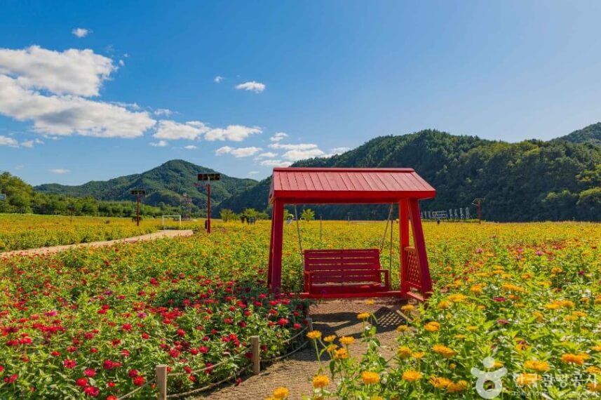 청송 가볼만한곳 베스트 10