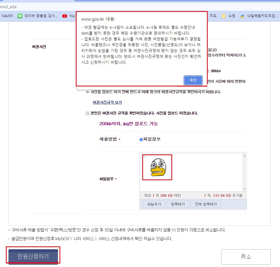 온라인 여권 재발급